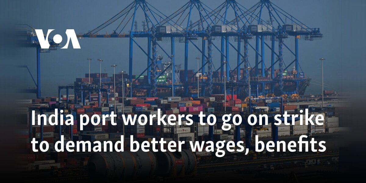 India port workers to go on strike to demand better wages, benefits