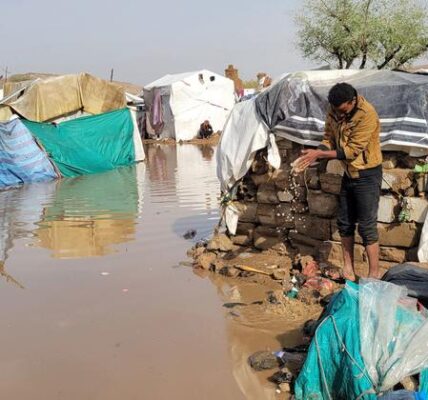 Internally displaced families in Yemen need increased aid: UNHCR