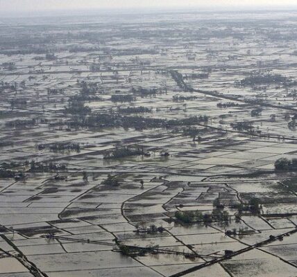 Myanmar: UN WFP pushes to reach flood-affected communities