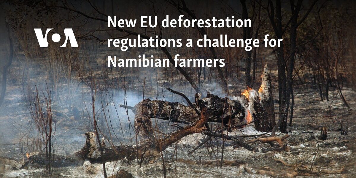 New EU deforestation regulations a challenge for Namibian farmers