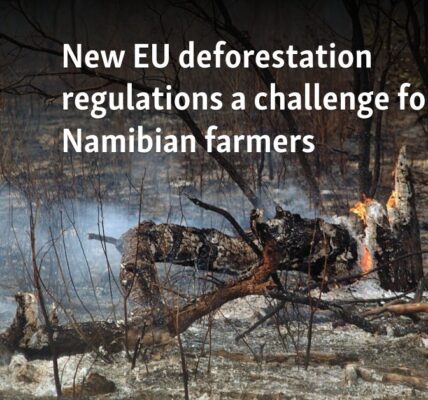 New EU deforestation regulations a challenge for Namibian farmers