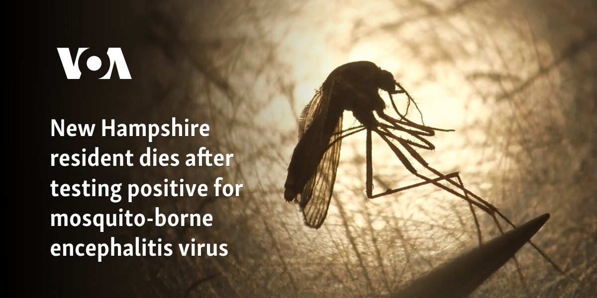 New Hampshire resident dies after testing positive for mosquito-borne encephalitis virus