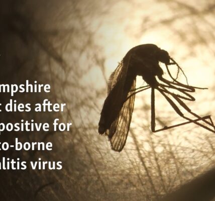 New Hampshire resident dies after testing positive for mosquito-borne encephalitis virus