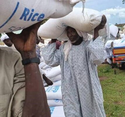 Sudan: UN chief welcomes decision to reopen key border crossing for aid delivery