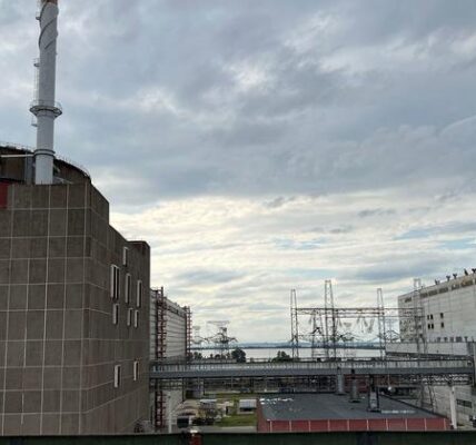 Ukraine: Deteriorating safety at Zaporizhzhya nuclear power plant following drone blast nearby