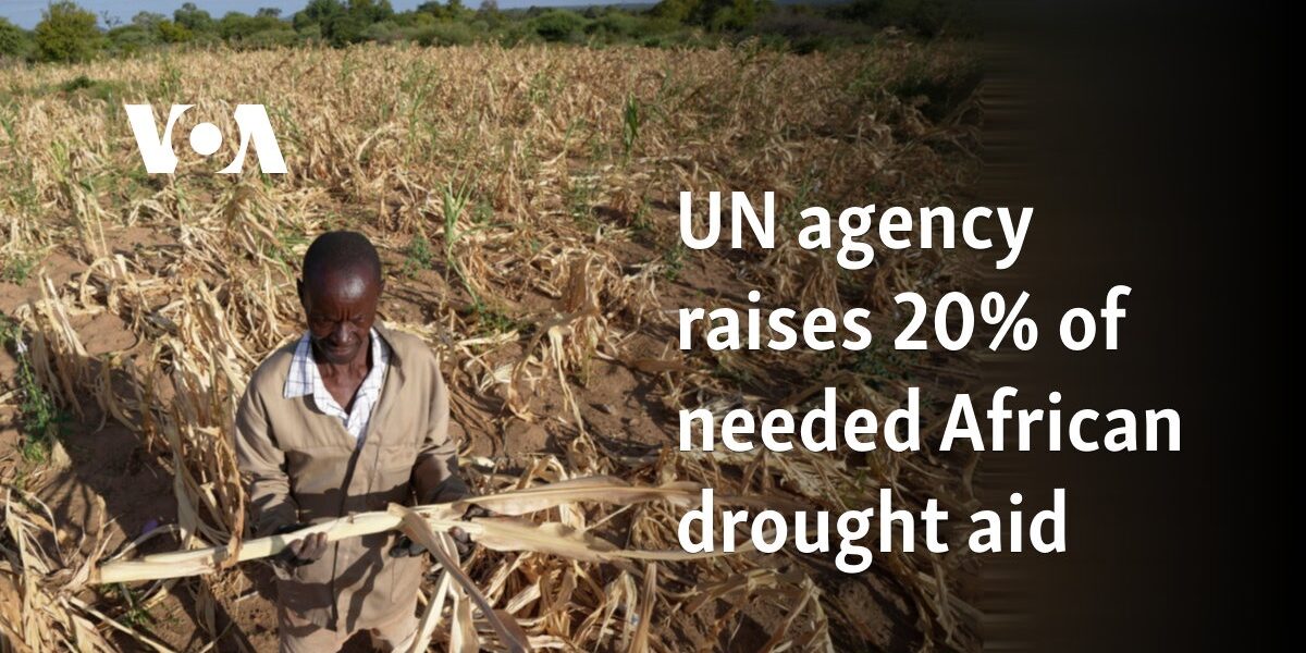 UN agency raises 20% of needed African drought aid