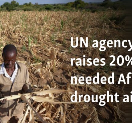 UN agency raises 20% of needed African drought aid