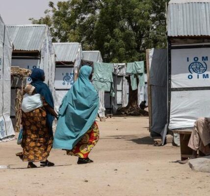 UNHCR officials call for ‘sustainable solutions’ to end displacement crisis in Nigeria