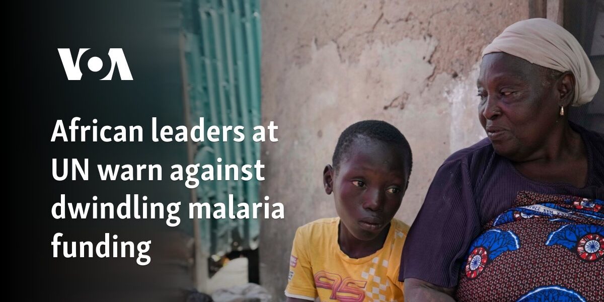 African leaders at UN warn against dwindling malaria funding