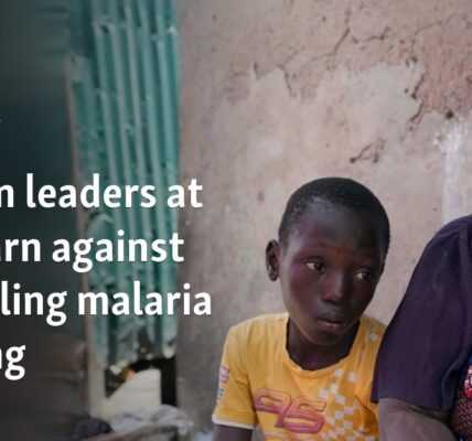 African leaders at UN warn against dwindling malaria funding