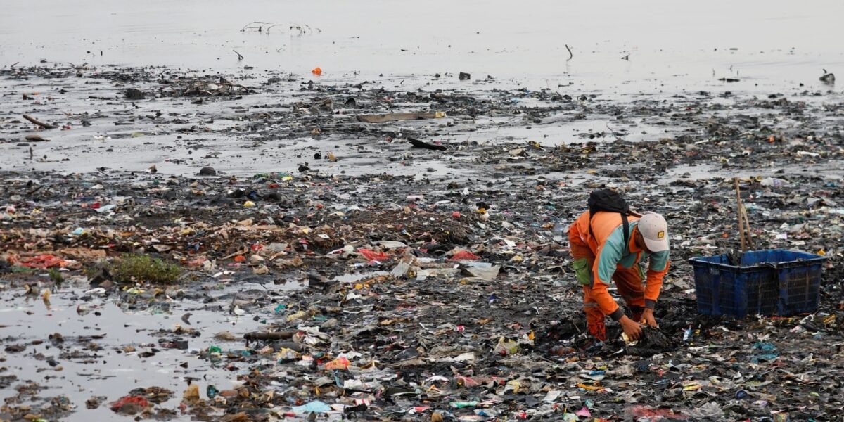 Australian researchers plan new generation of biodegradable plastic