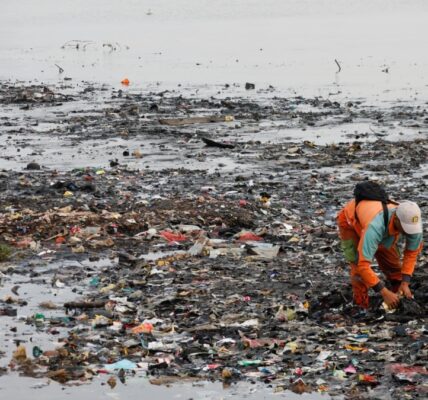 Australian researchers plan new generation of biodegradable plastic