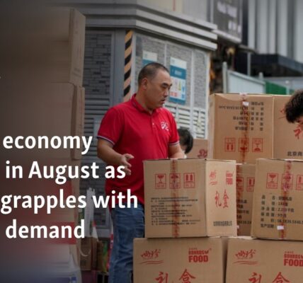 China's economy softens in August as Beijing grapples with lagging demand