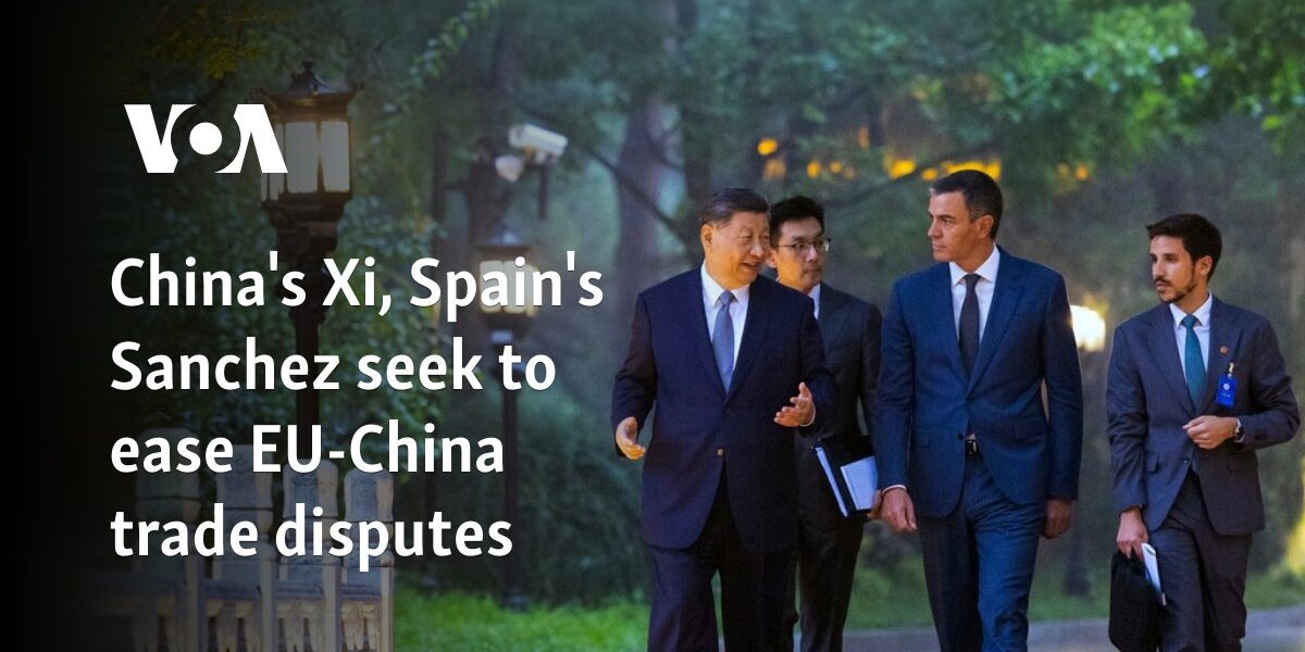 China's Xi, Spain's Sanchez seek to ease EU-China trade disputes