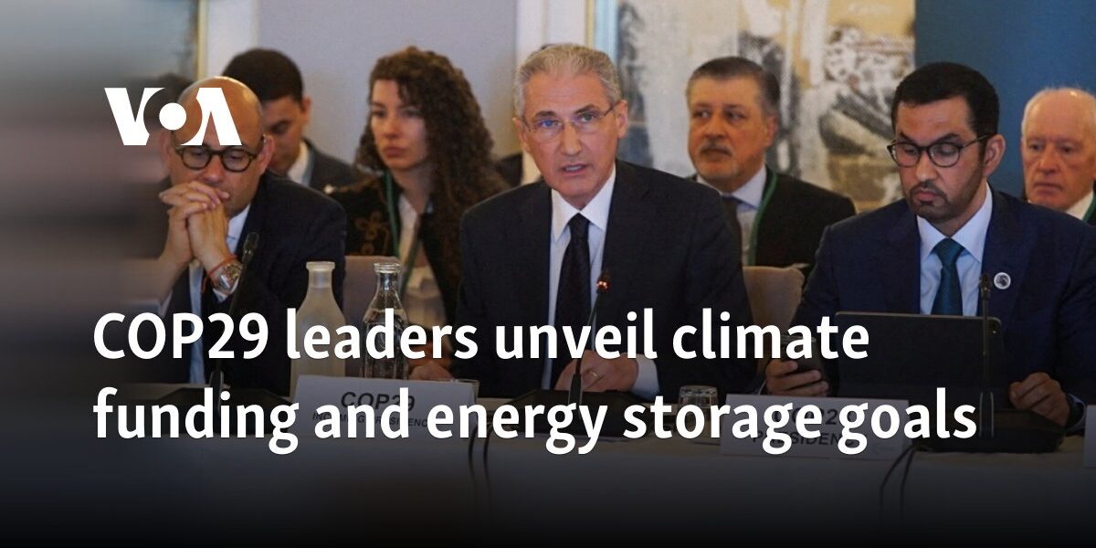 COP29 leaders unveil climate funding and energy storage goals