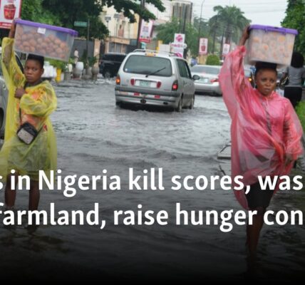 Floods in Nigeria kill scores, wash away farmland, raise hunger concerns