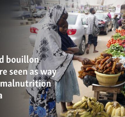 Fortified bouillon cubes are seen as way to curb malnutrition in Africa