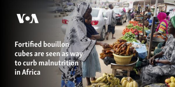 Fortified bouillon cubes are seen as way to curb malnutrition in Africa