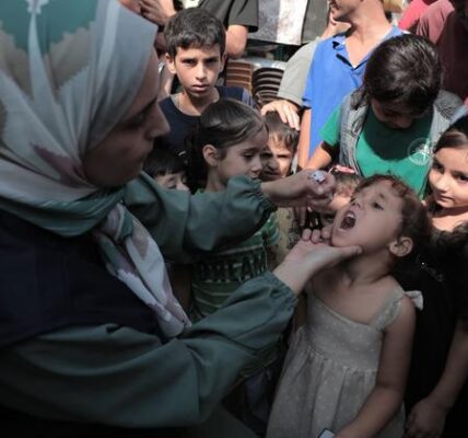 Gaza: Disease and war stalk children, despite vaccine success