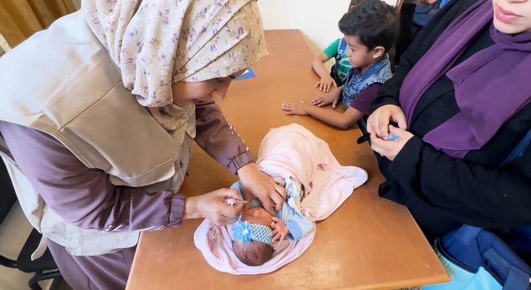 Gaza: UN humanitarians ahead of polio vaccination target