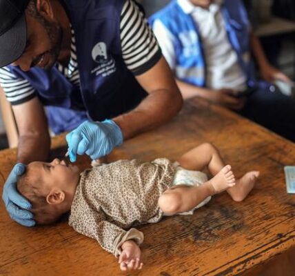 Gaza: WHO chief hails ‘massive success’ of polio campaign amid tragic reality