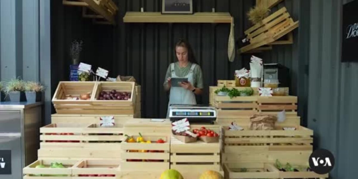 Market in Ukraine's Kharkiv region helps out-of-work farmers