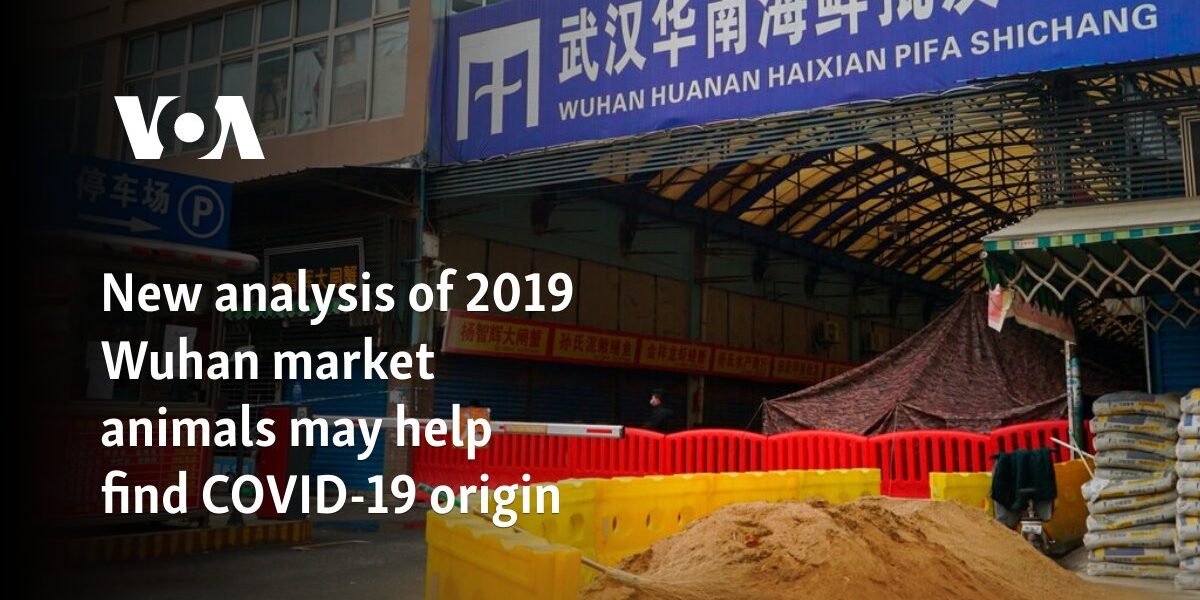 New analysis of 2019 Wuhan market animals may help find COVID-19 origin