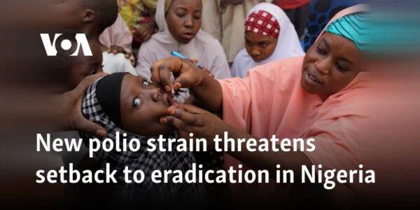 New polio strain threatens setback to eradication in Nigeria