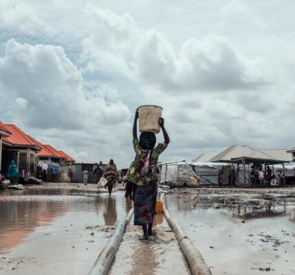 Nigeria: Hundreds of thousands in need of aid as flooding wipes out homes – WFP