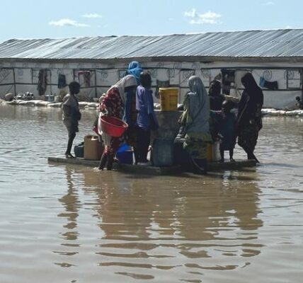 Nigeria: UN agencies assist families affected by floods