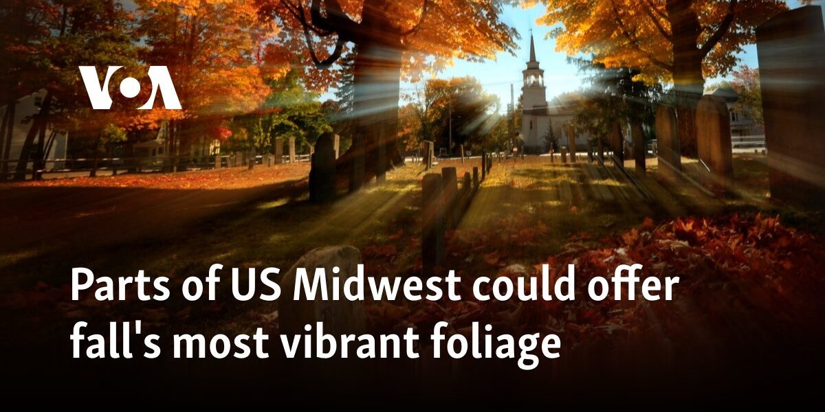 Parts of US Midwest could offer fall's most vibrant foliage