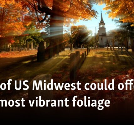 Parts of US Midwest could offer fall's most vibrant foliage