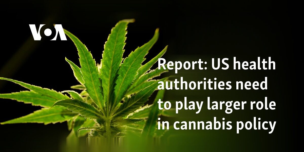 Report: US health authorities need to play larger role in cannabis policy