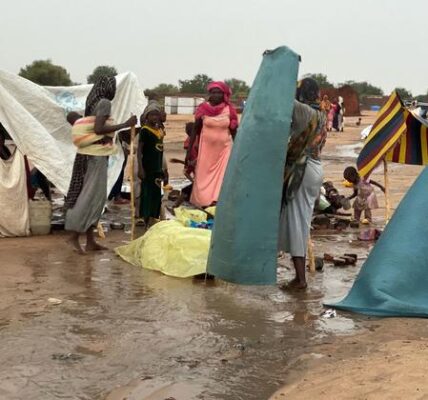 Sudan crisis must not be forgotten by world leaders, says UN food agency