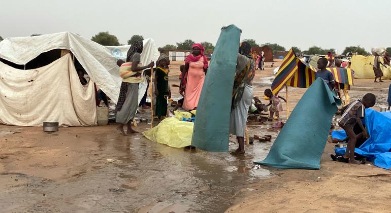 Sudan crisis must not be forgotten by world leaders, says UN food agency