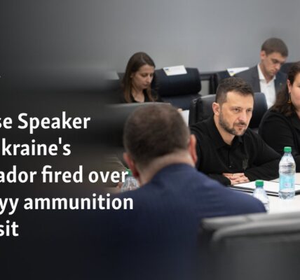 US House Speaker wants Ukraine's ambassador fired over Zelenskyy ammunition plant visit