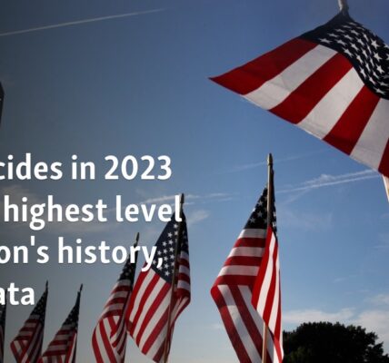 US suicides in 2023 still at highest level in nation's history, says data