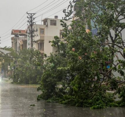 Viet Nam mobilises massive response as Typhoon Yagi leaves a trail of catastrophe