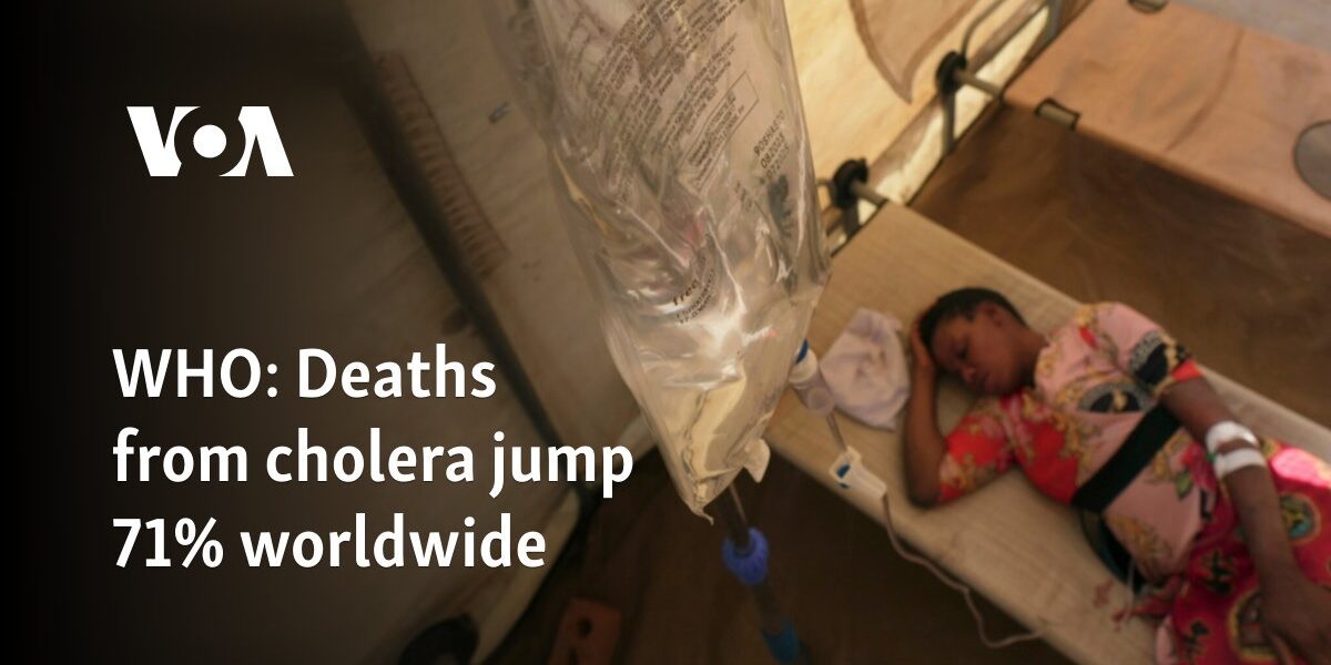 WHO: Deaths from cholera jump 71% worldwide