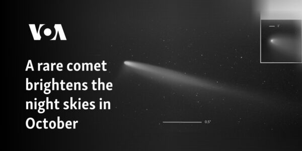 A rare comet brightens the night skies in October