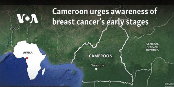 Cameroon urges awareness of breast cancer's early stages