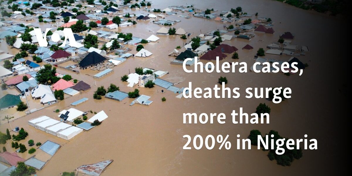 Cholera cases, deaths surge more than 200% in Nigeria