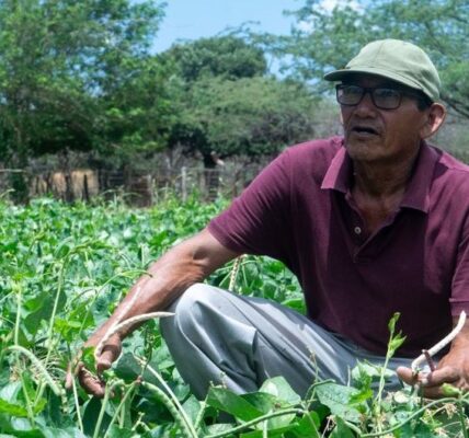 Drought or flooding? No match for this climate-friendly bean