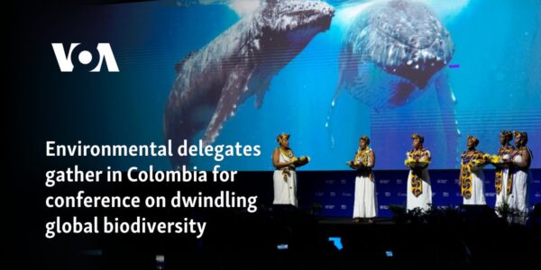 Environmental delegates gather in Colombia for conference on dwindling global biodiversity