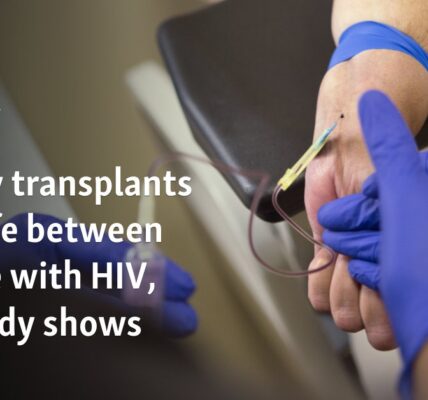 Kidney transplants are safe between people with HIV, US study shows