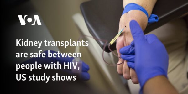 Kidney transplants are safe between people with HIV, US study shows