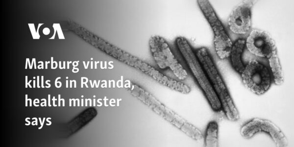 Marburg virus kills 6 in Rwanda, health minister says