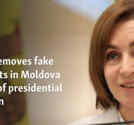 Meta removes fake accounts in Moldova ahead of presidential election