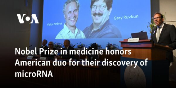 Nobel Prize in medicine honors American duo for their discovery of microRNA