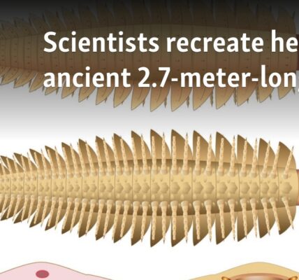 Scientists recreate head of ancient 2.7-meter-long bug